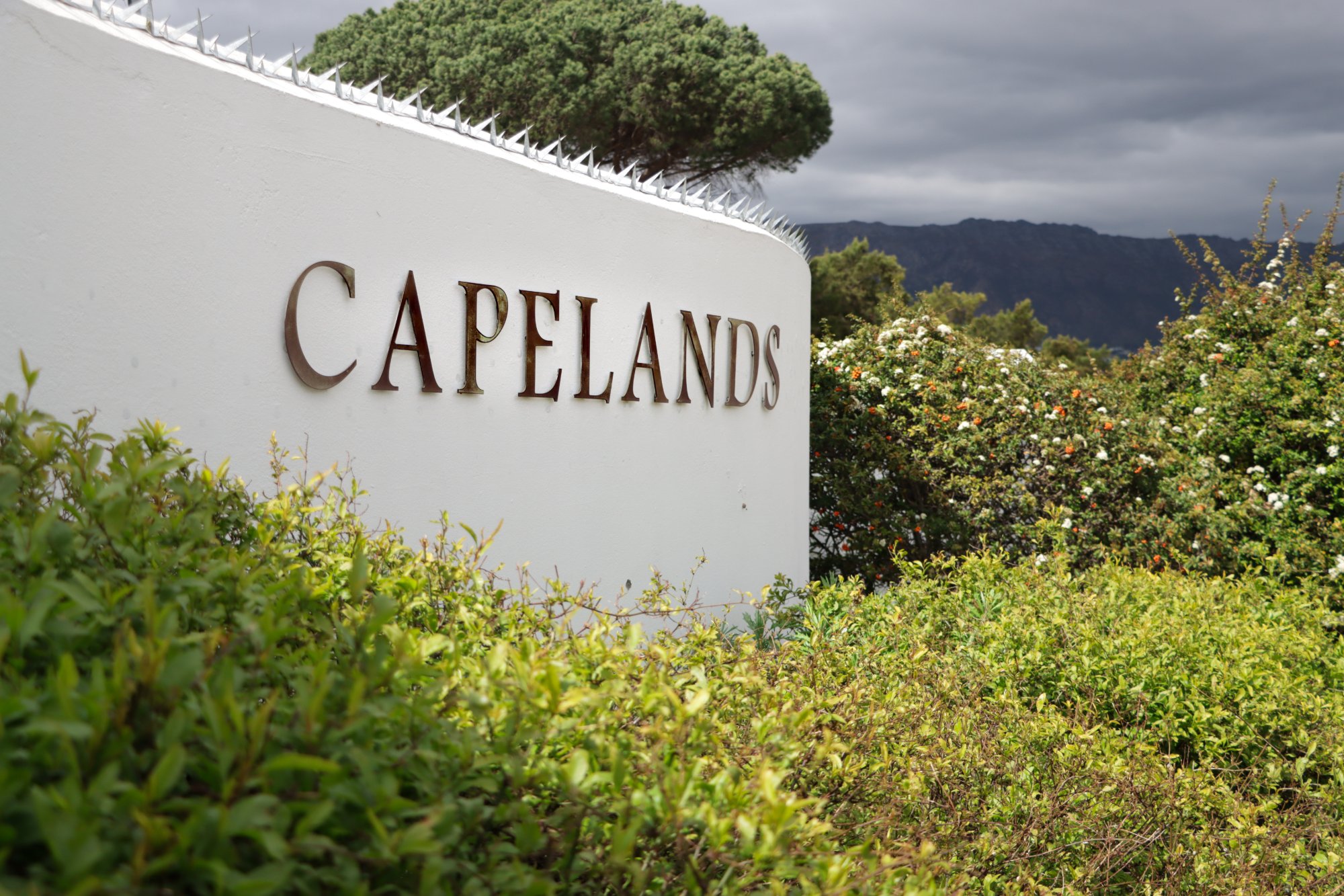 Photograph of Capelands Wine Farm