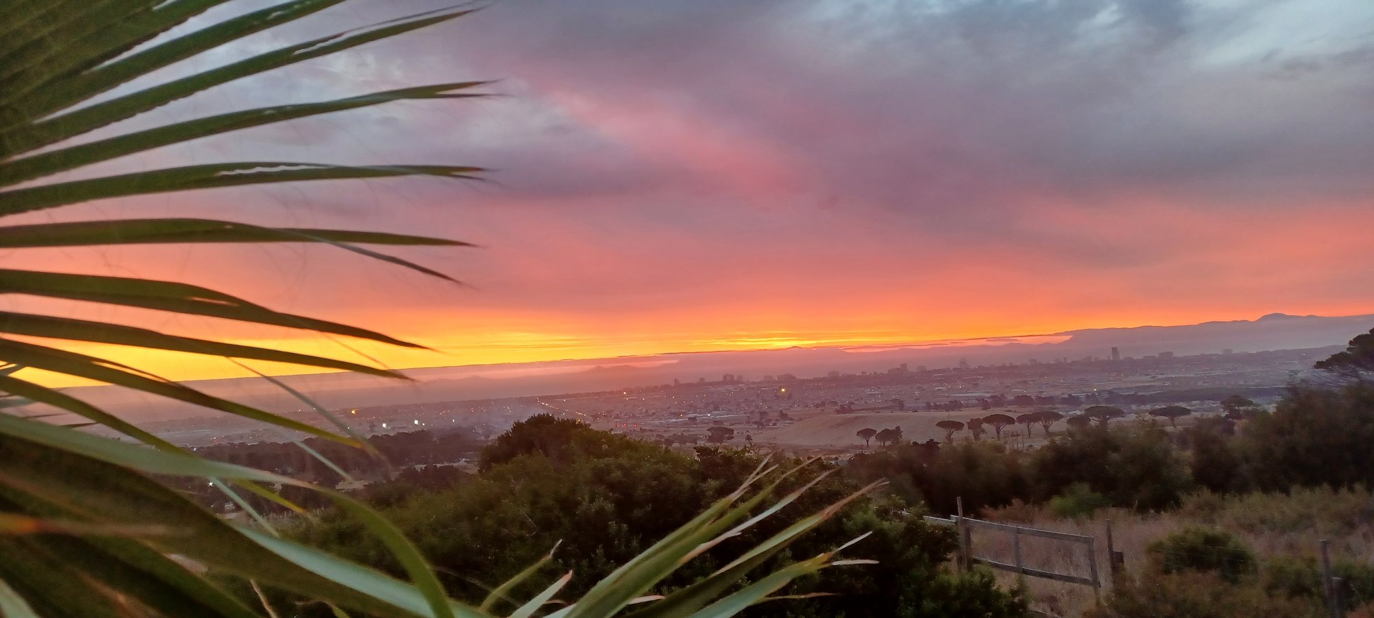 Sunset with leaves