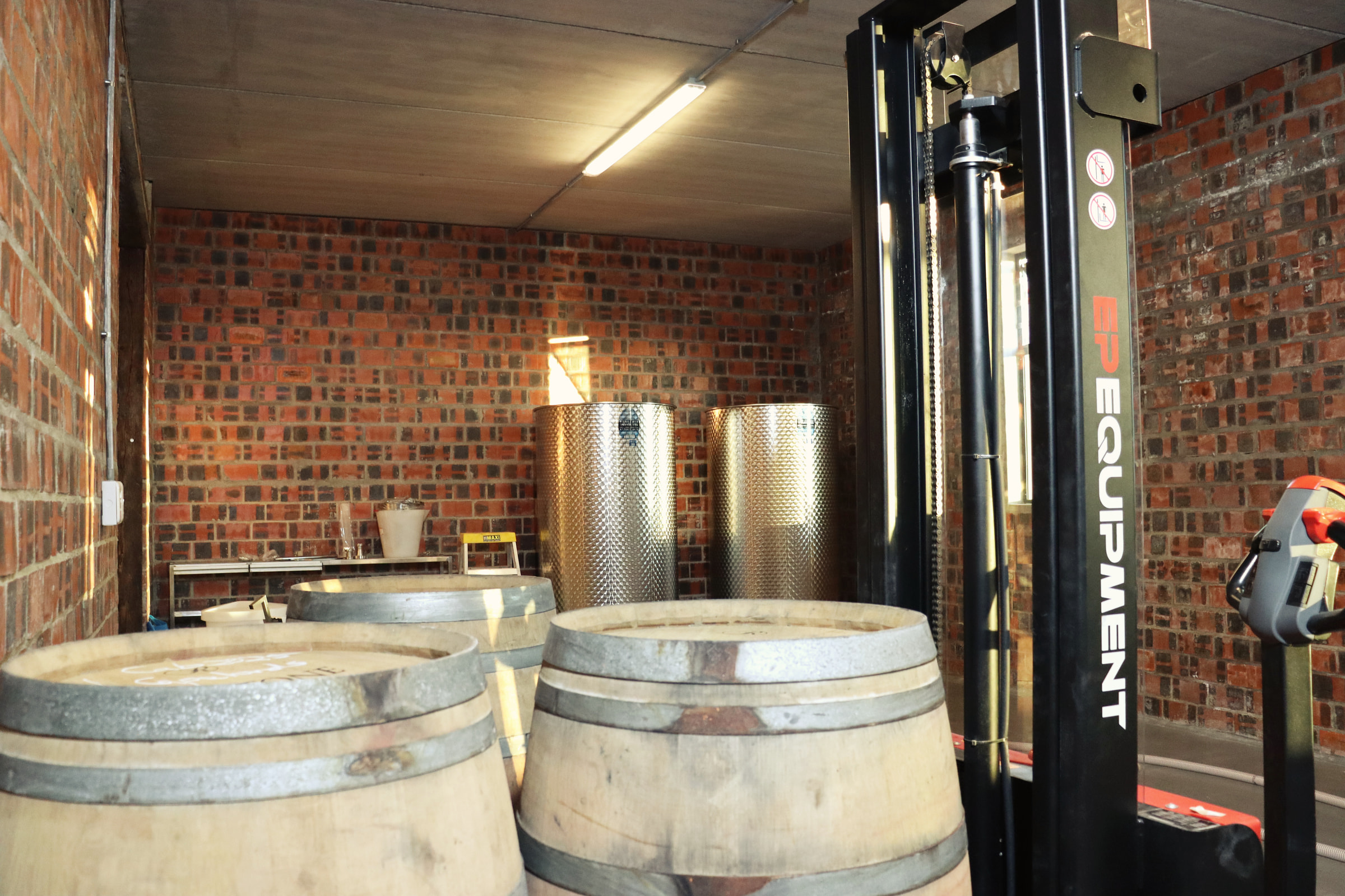 Oak barrels and steel tanks in the cellar
