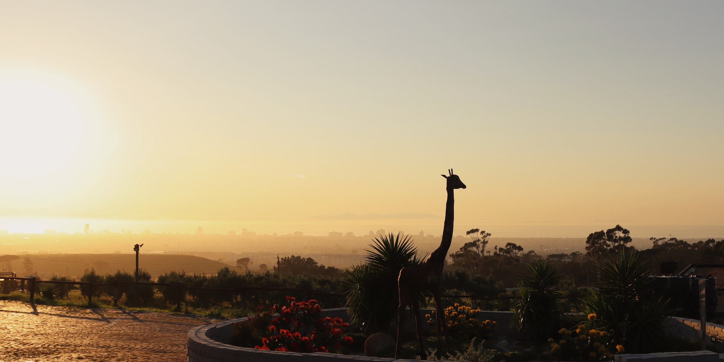 The giraffe sculpture silhouetted at sunrise, with the city and False Bay beyond