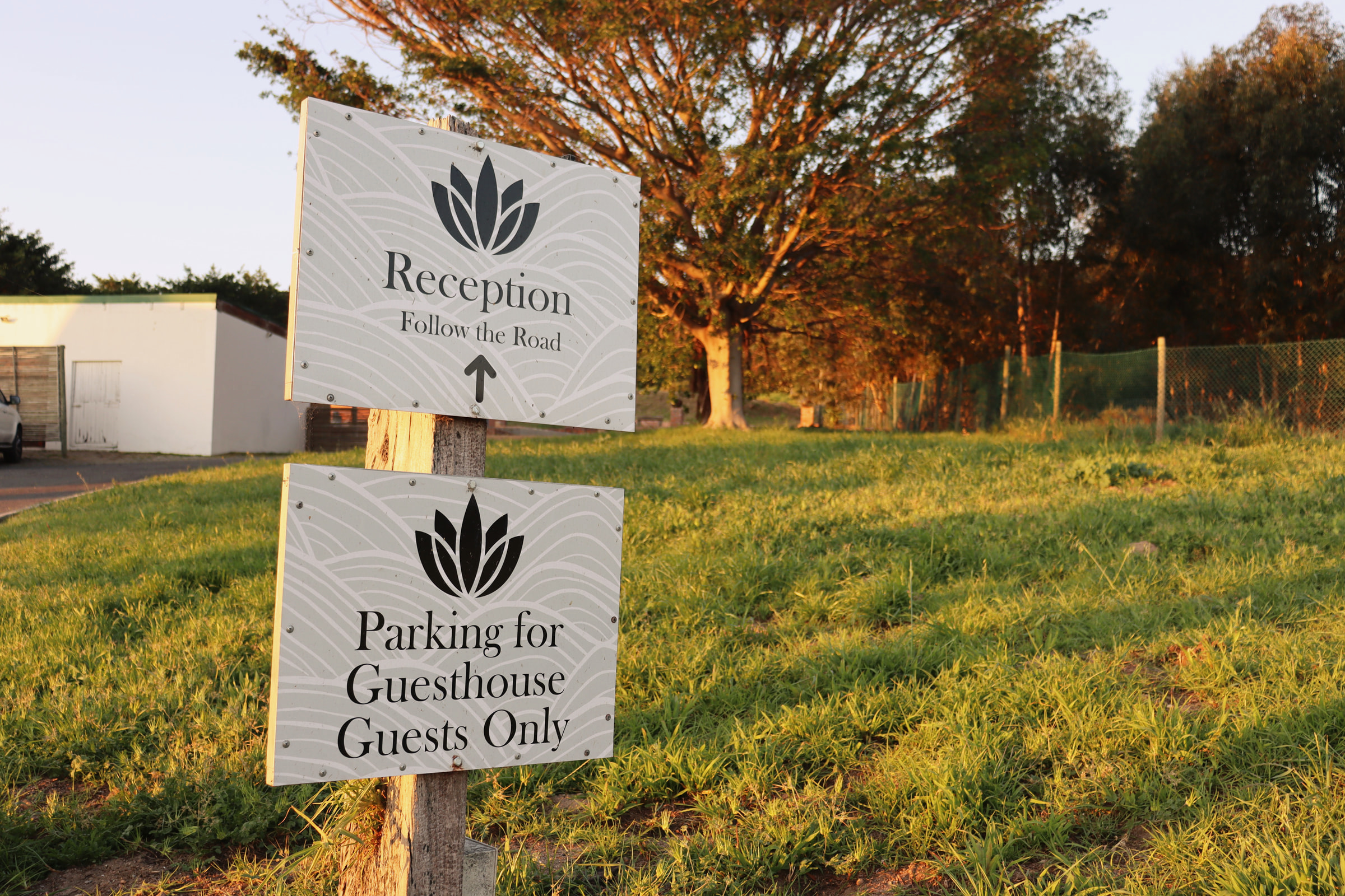 Signs on the lawn at golden hour, bearing the Capelands flower: Reception, follow the road, and parking for guesthouse guests only